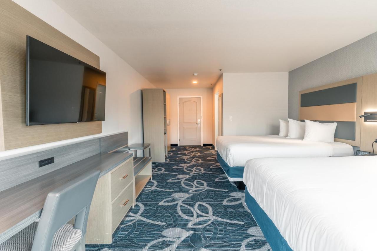 Hotel Aluxor Sfo, Shuttle Service San Bruno Exterior photo